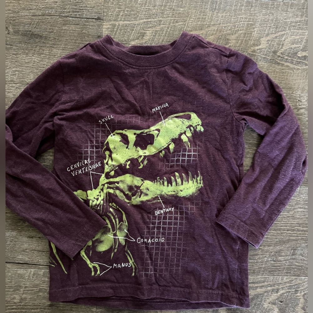Cat and jack size 4/5 long sleeved dinosaur shirt